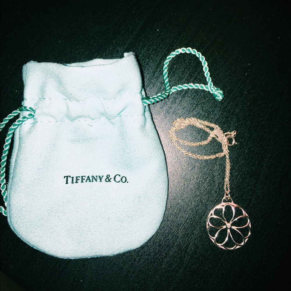 COPY - 925 silver Tiffany&Co necklace with little…